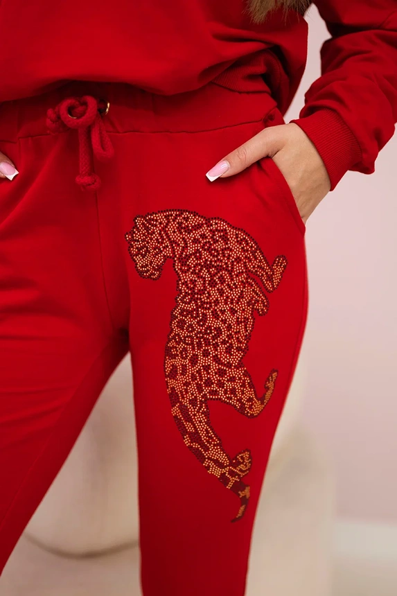 18330_4 Cirkonio panteros - Image 4