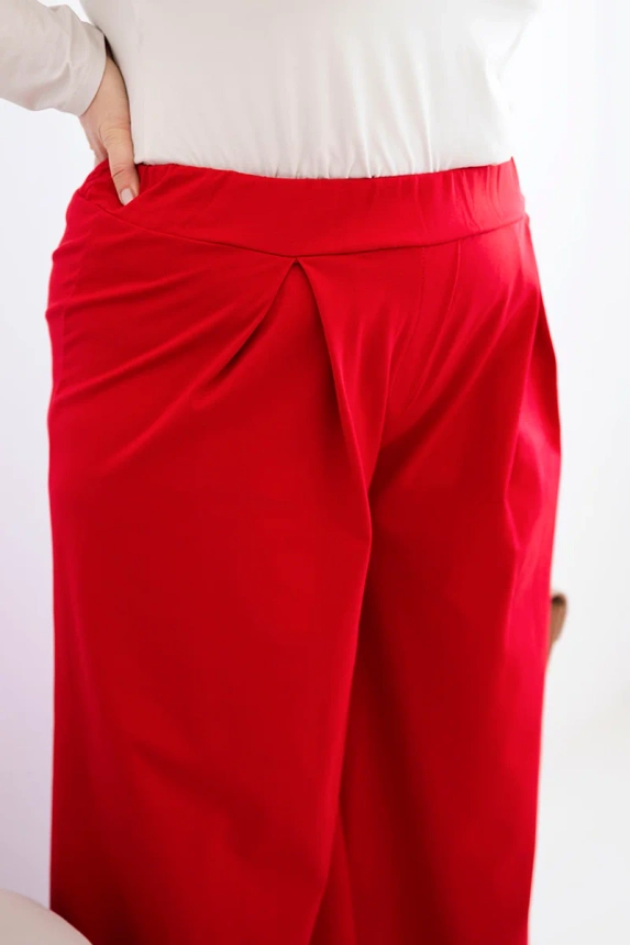 37967_3 Moteriškos Plus Size kelnės su plačiomis kojomis ir klostėmis - Image 4